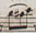KBR, Musique, Mus. 1.853 C